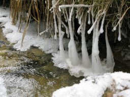 La neige s'installe